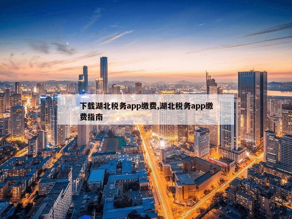 下载湖北税务app缴费,湖北税务app缴费指南