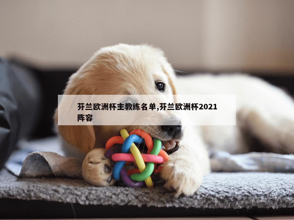 芬兰欧洲杯主教练名单,芬兰欧洲杯2021阵容