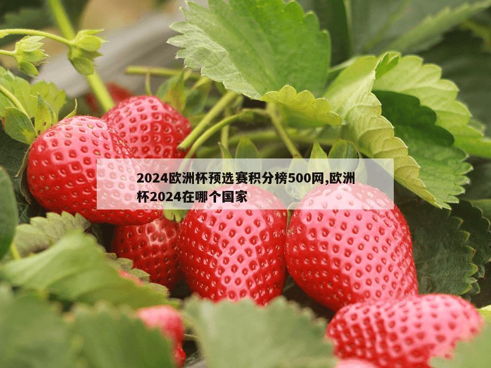 2024欧洲杯预选赛积分榜500网,欧洲杯2024在哪个国家