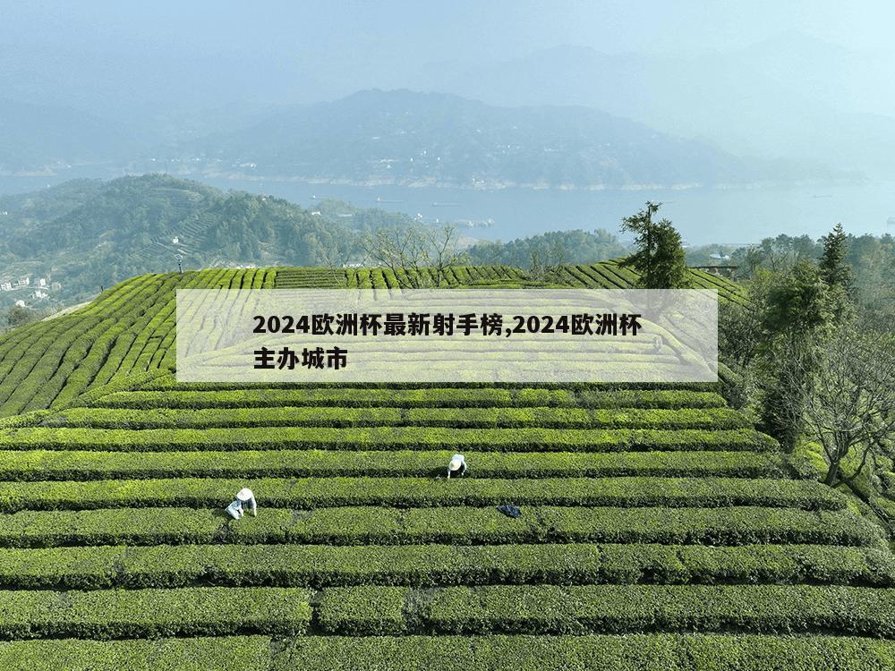 2024欧洲杯最新射手榜,2024欧洲杯主办城市