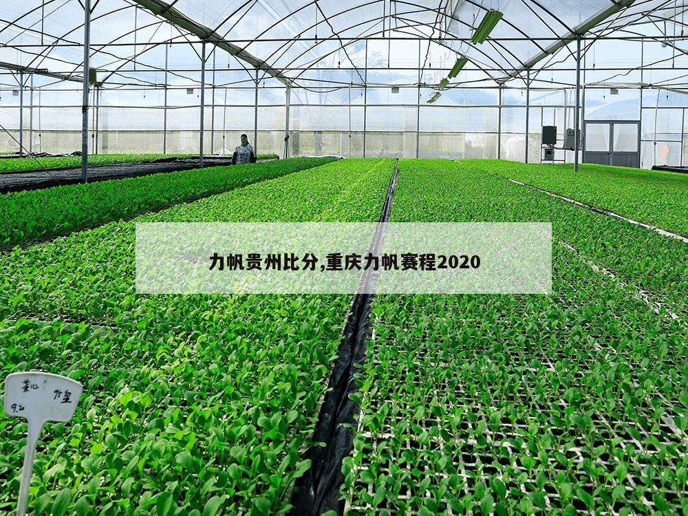 力帆贵州比分,重庆力帆赛程2020