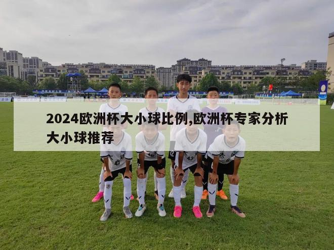 2024欧洲杯大小球比例,欧洲杯专家分析大小球推荐