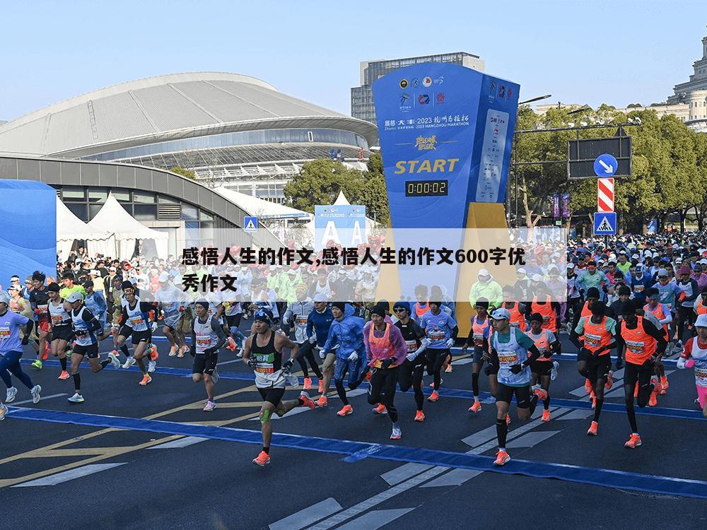 感悟人生的作文,感悟人生的作文600字优秀作文