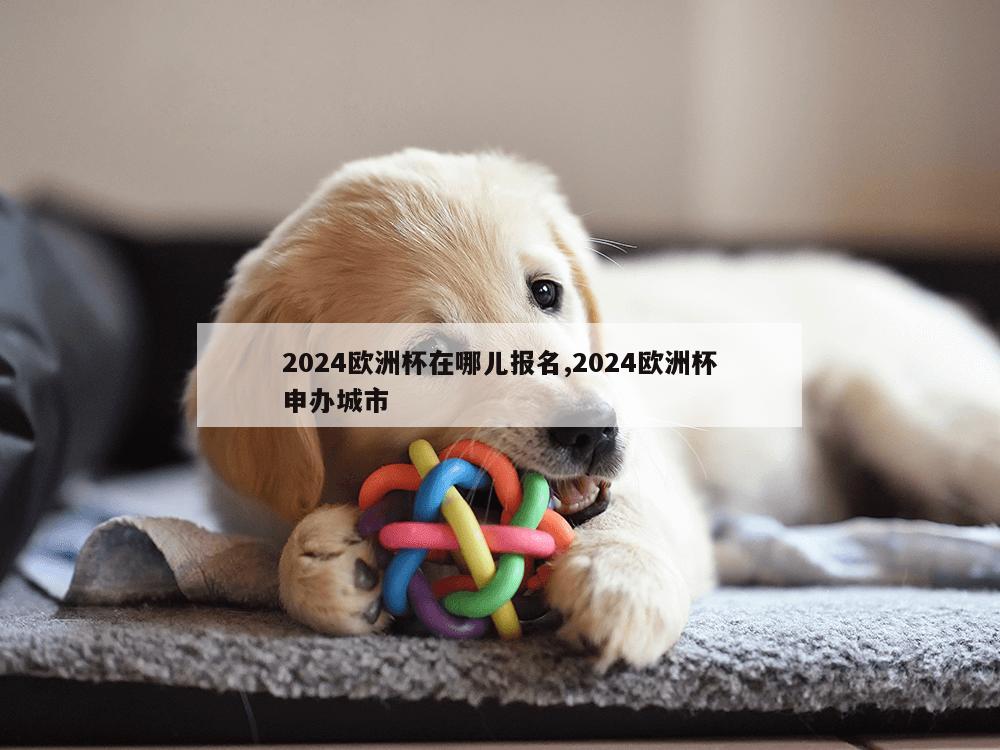 2024欧洲杯在哪儿报名,2024欧洲杯申办城市