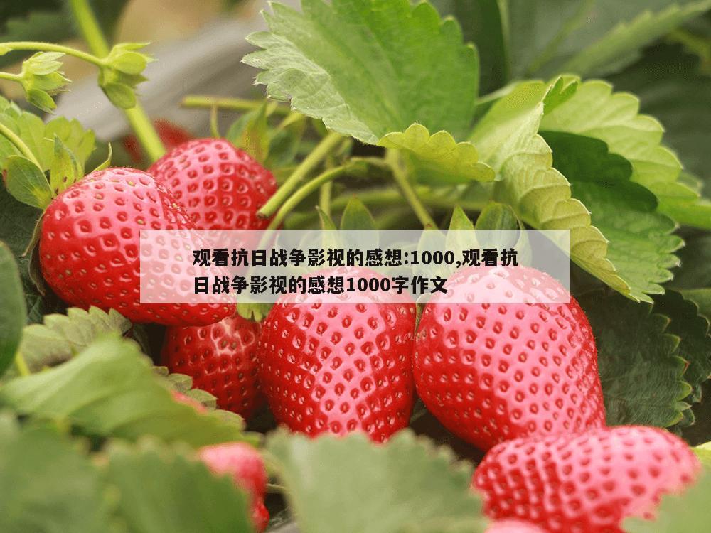 观看抗日战争影视的感想:1000,观看抗日战争影视的感想1000字作文