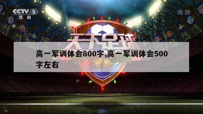 高一军训体会800字,高一军训体会500字左右