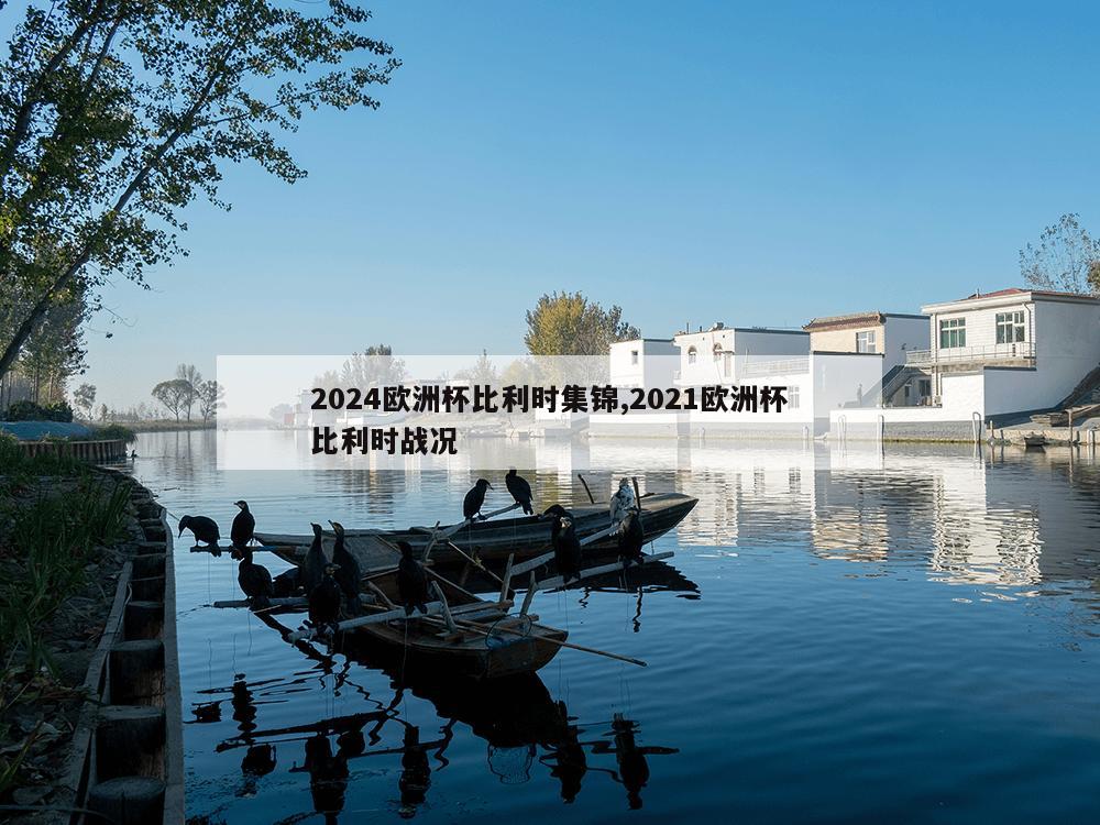 2024欧洲杯比利时集锦,2021欧洲杯比利时战况