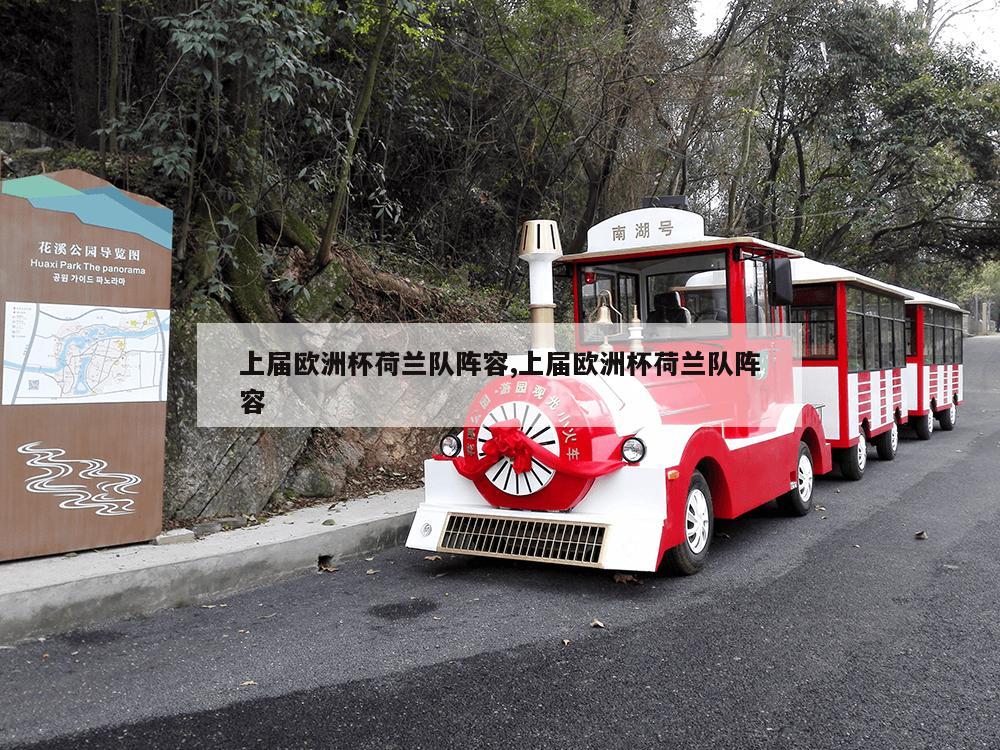 上届欧洲杯荷兰队阵容,上届欧洲杯荷兰队阵容