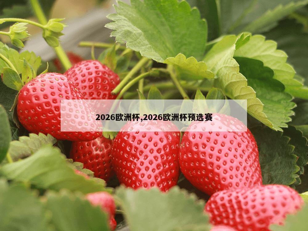 2026欧洲杯,2026欧洲杯预选赛