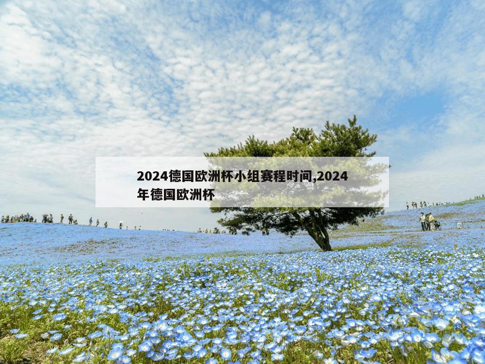 2024德国欧洲杯小组赛程时间,2024年德国欧洲杯