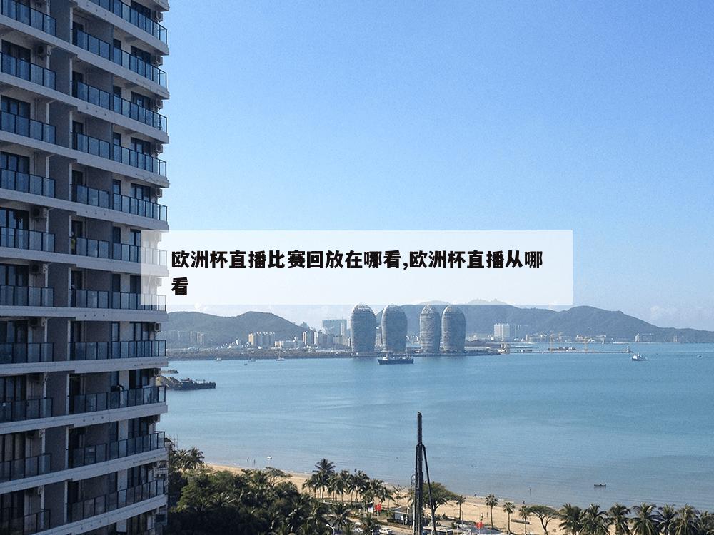 欧洲杯直播比赛回放在哪看,欧洲杯直播从哪看