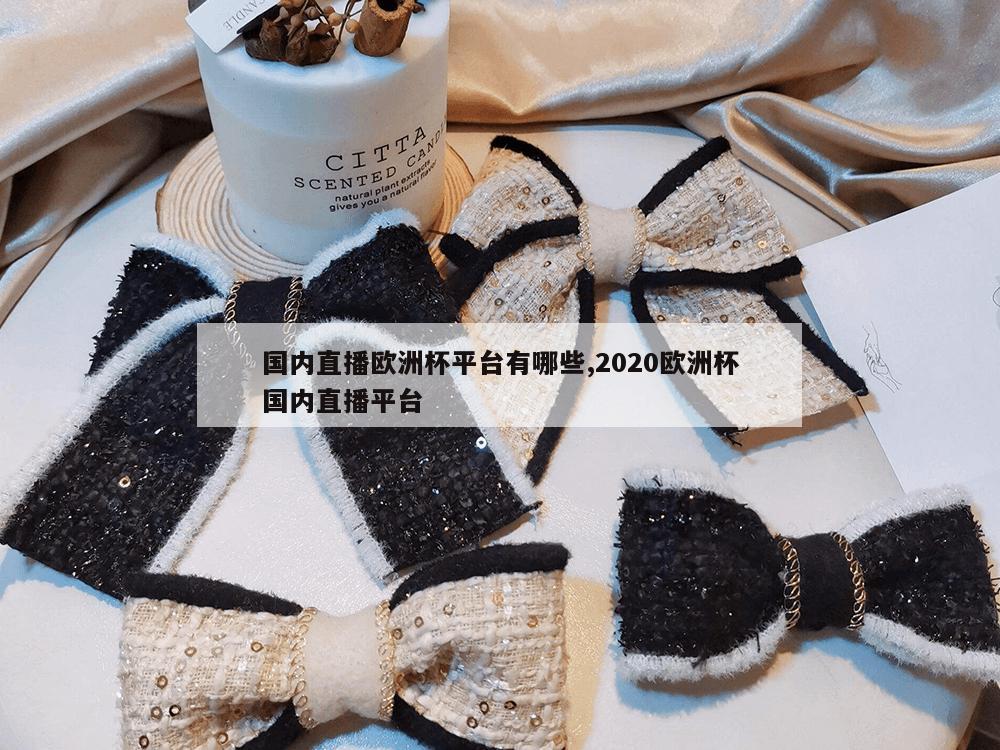 国内直播欧洲杯平台有哪些,2020欧洲杯国内直播平台