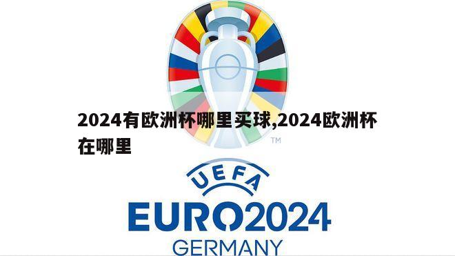 2024有欧洲杯哪里买球,2024欧洲杯在哪里